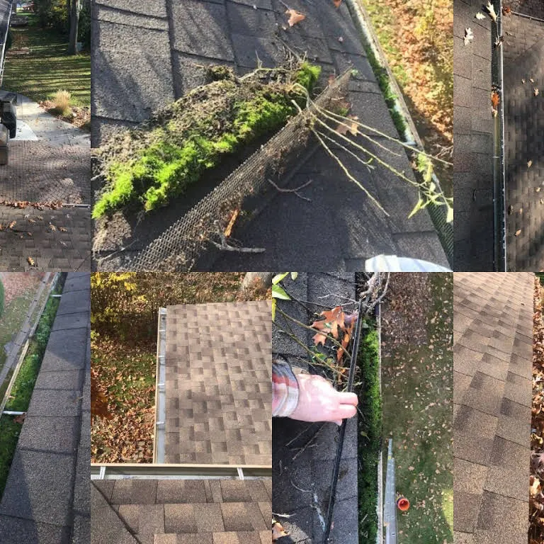Gutters packed with plants and debris, then cleared