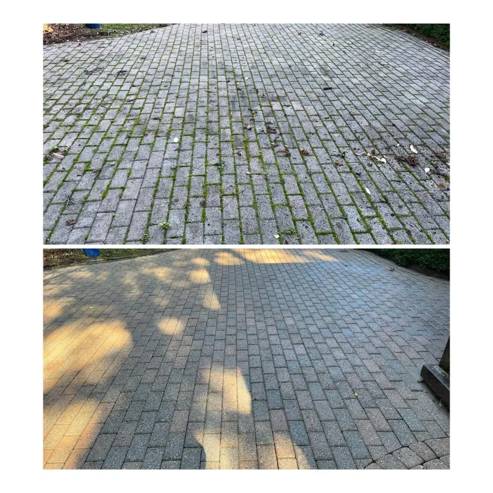 Paver patio covered in green moss before and clean after