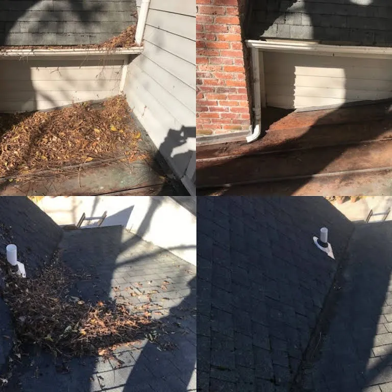 Shingle roof edge with leaves and debris before G&L cleaned it