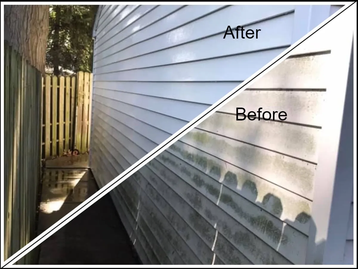 Vinyl siding beside a fence, half still green with mildew and half clean after a G&L soft wash